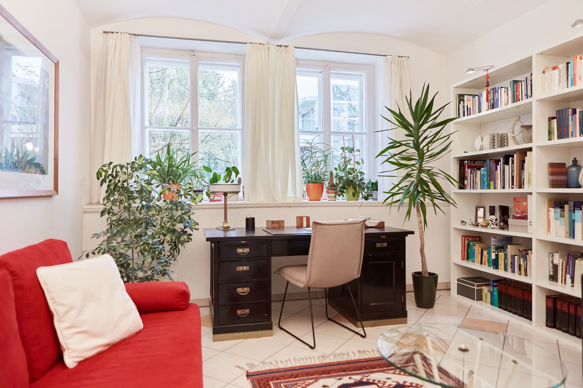Heller Behandlungsraum der Praxis mit Schreibtisch, Sofa, Büchern und Pflanzen